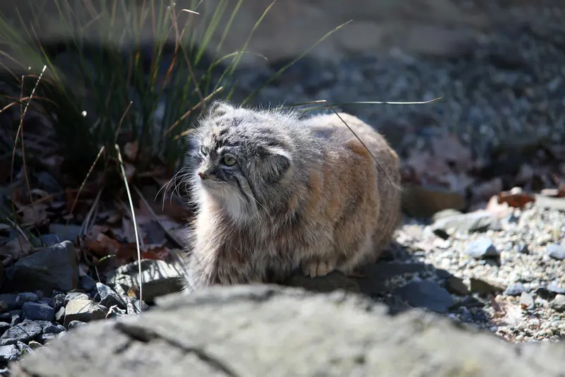 A photograph of Moira in Ostrava Zoo