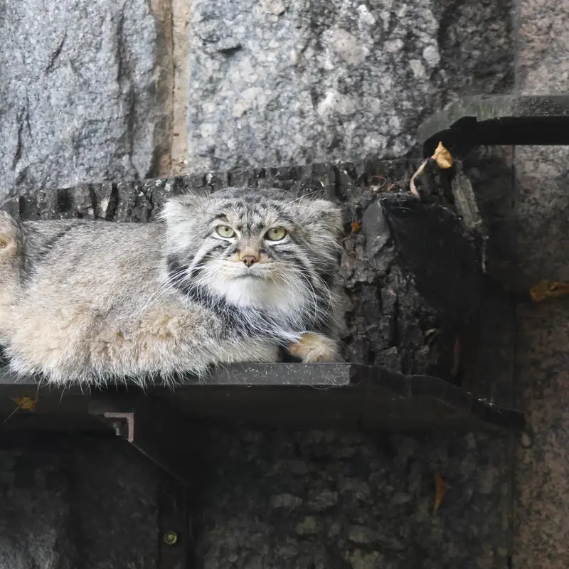 A photograph of Timofey in Moscow zoo