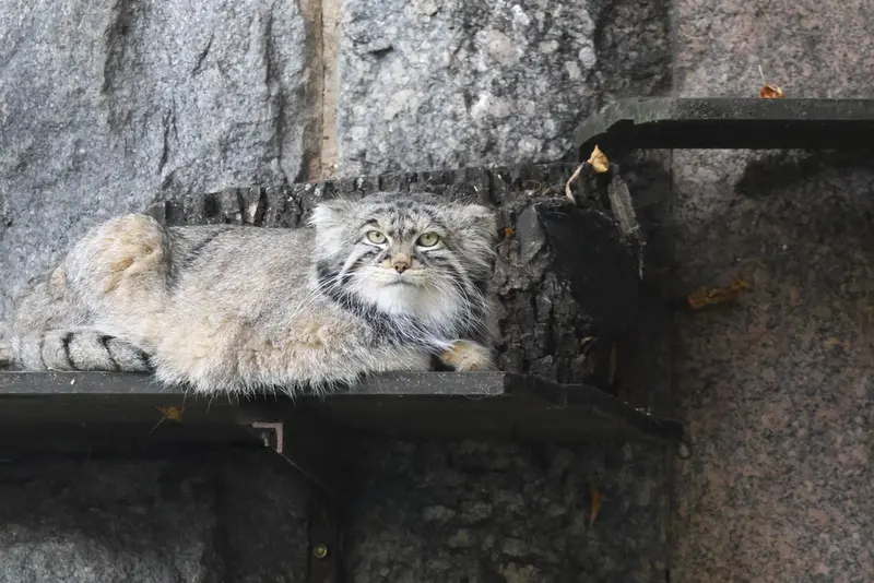 A photograph of Timofey in Moscow zoo