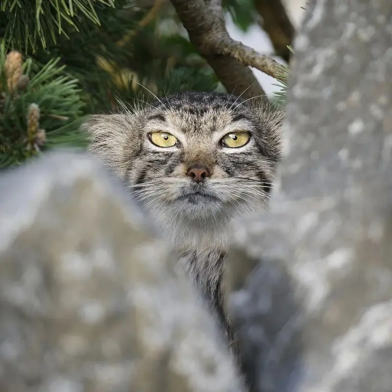 A photograph of Charu in Tierpark Berlin