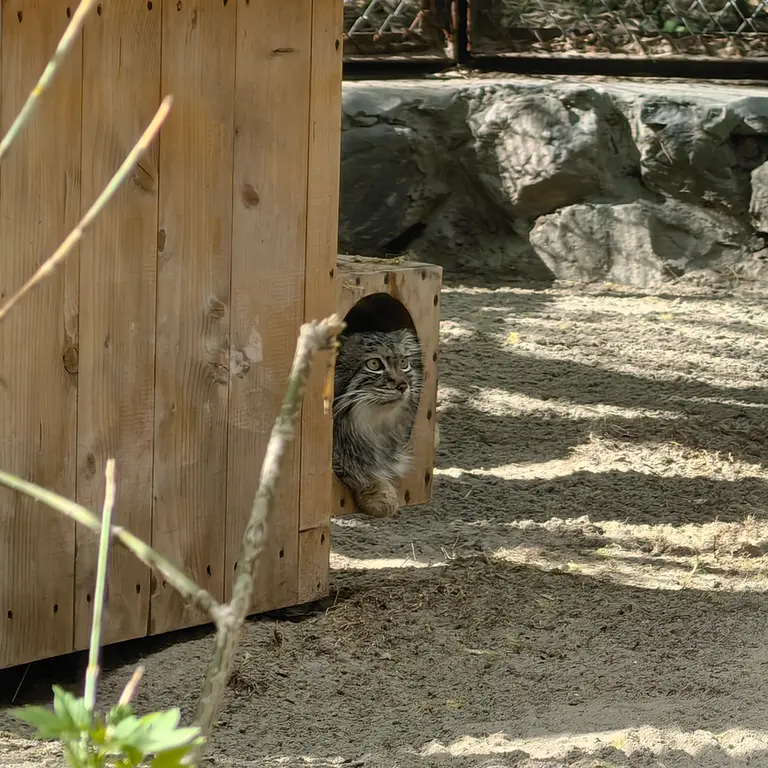 A photograph of Snezhana in Novosibirsk Zoo