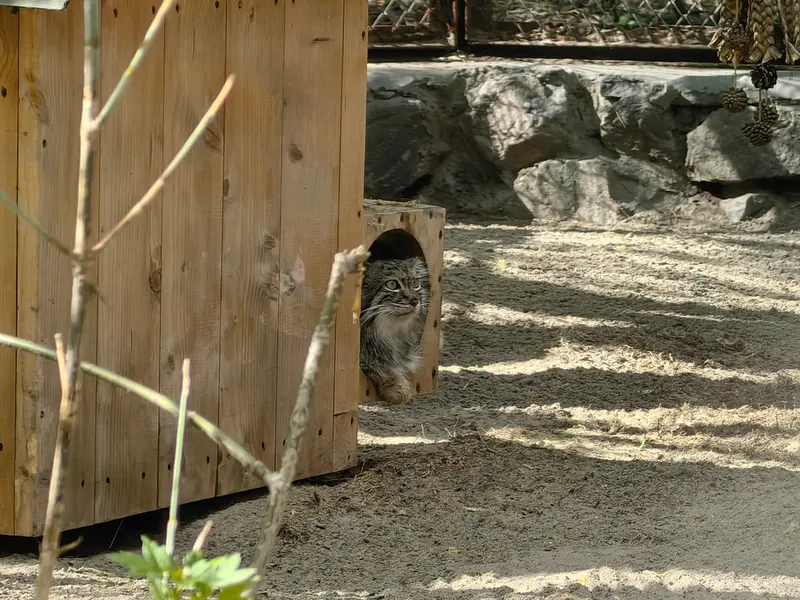 A photograph of Snezhana in Novosibirsk Zoo