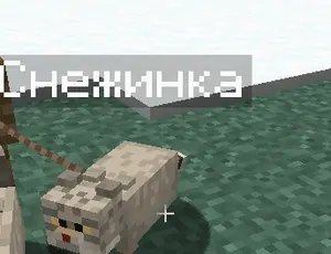 Found another Pallas's cat in the steppes of Minecraft