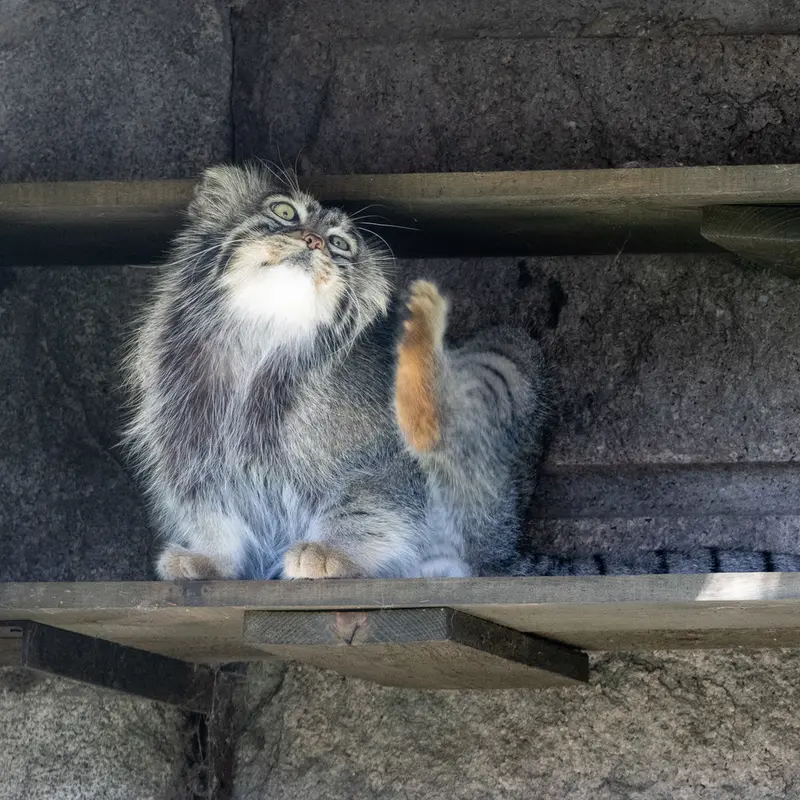 A photograph of Timofey in Moscow zoo
