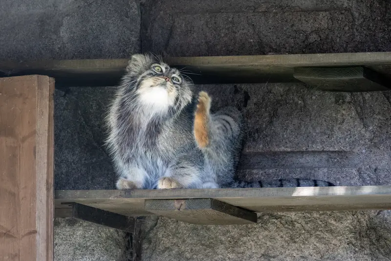 A photograph of Timofey in Moscow zoo