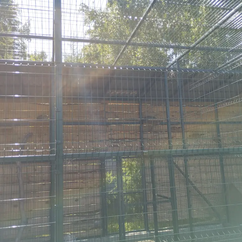 A photograph of Pepe and Chip in Barnaul zoo “Lesnaya skazka”