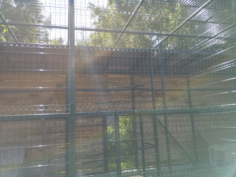 A photograph of Pepe and Chip in Barnaul zoo “Lesnaya skazka”