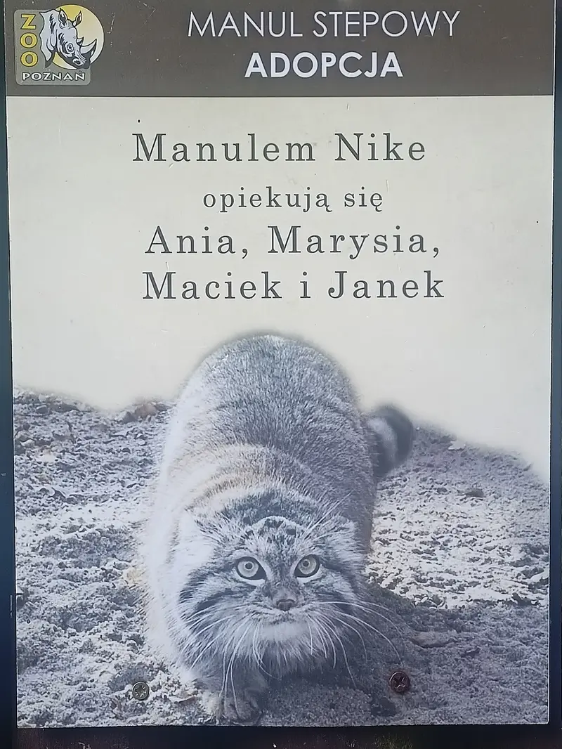 A photograph of Nike in Poznan New Zoo
