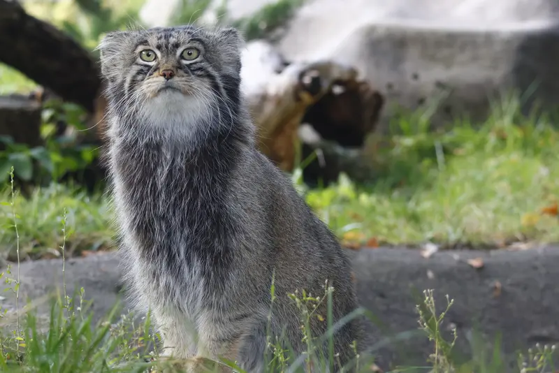 A photograph of Timofey in Moscow zoo