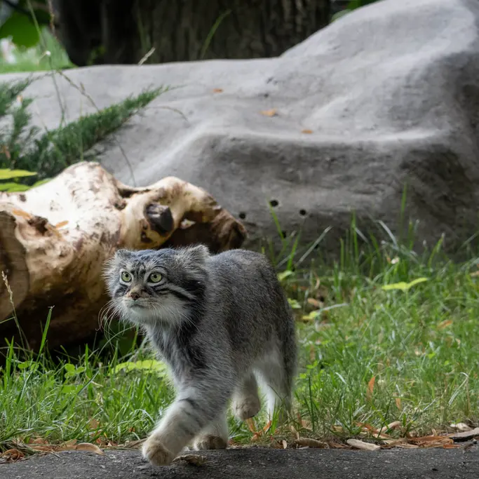 A photograph of Timofey in Moscow zoo
