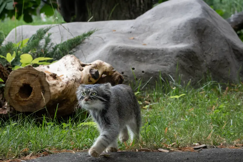 A photograph of Timofey in Moscow zoo