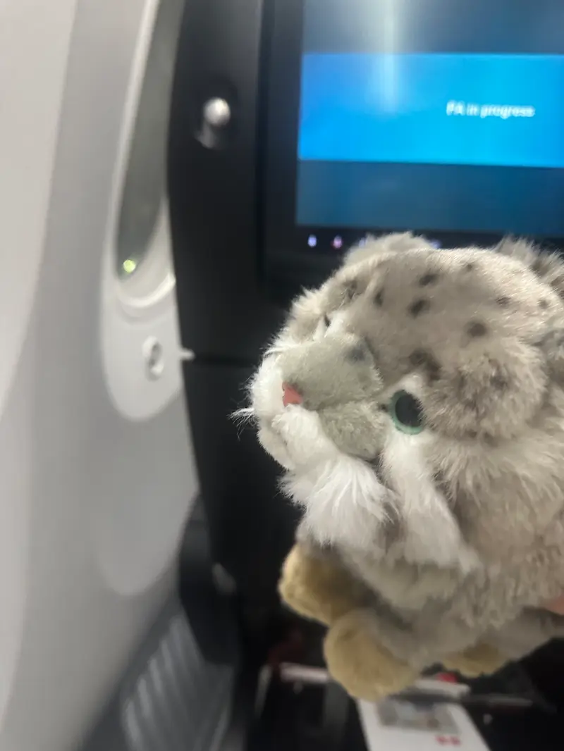 We made it on our aircraft !