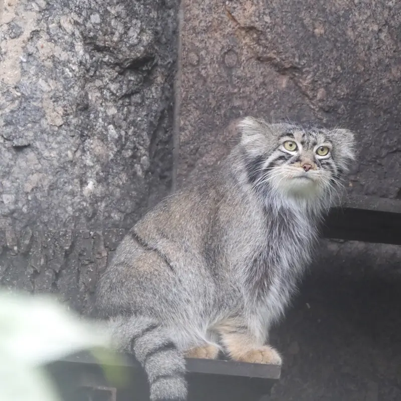 A photograph of Timofey in Moscow zoo