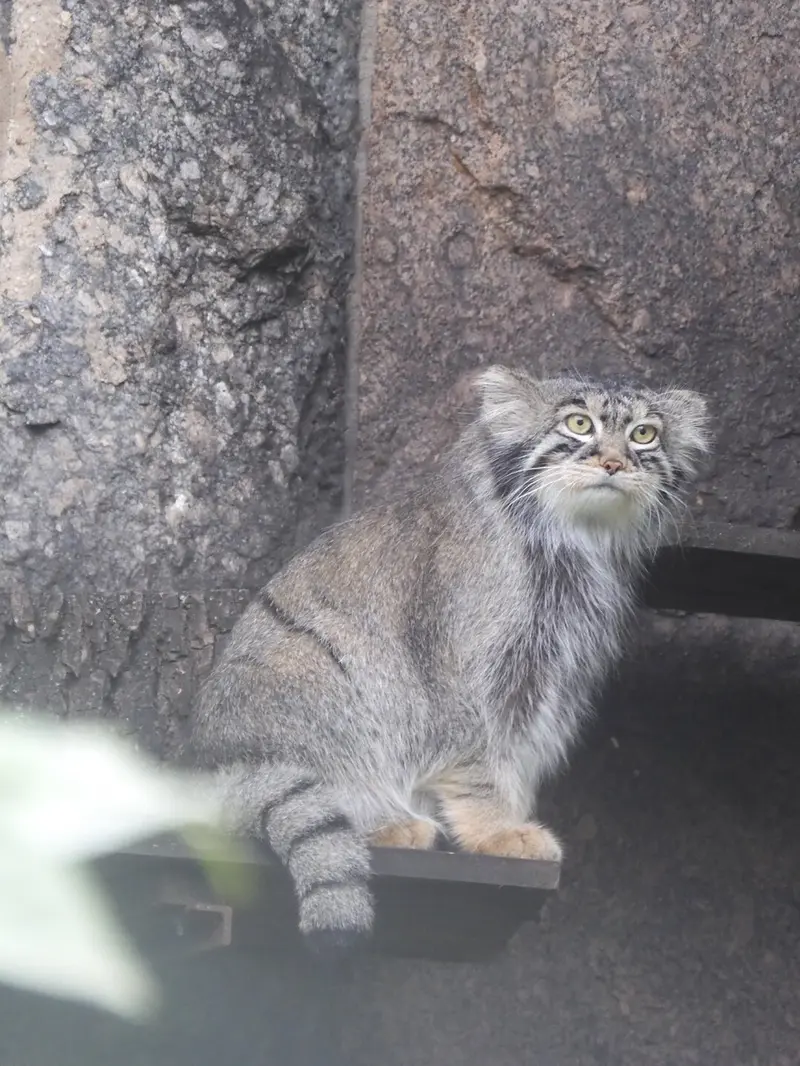 A photograph of Timofey in Moscow zoo