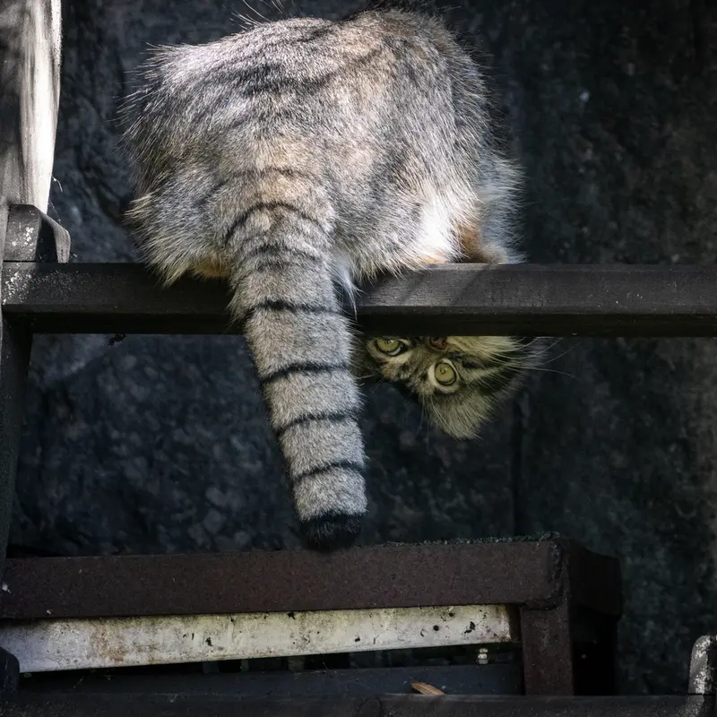 A photograph of Timofey in Moscow zoo
