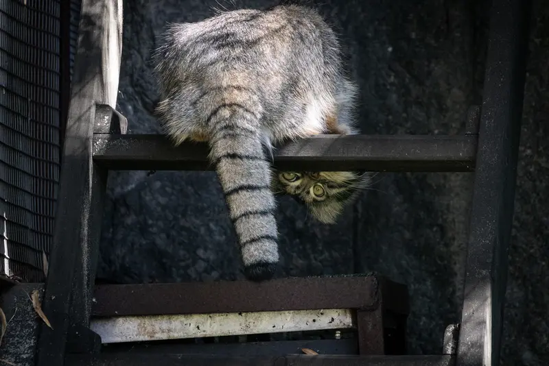 A photograph of Timofey in Moscow zoo