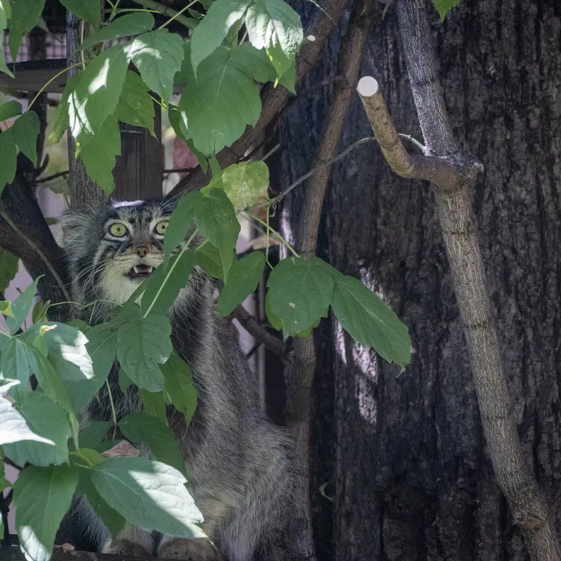 A photograph of Timofey in Moscow zoo