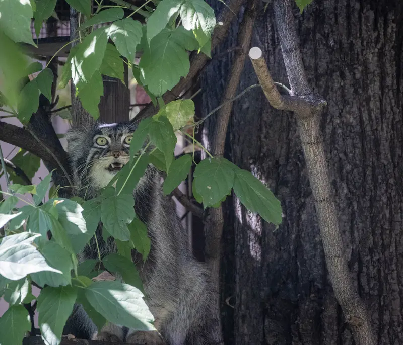 A photograph of Timofey in Moscow zoo
