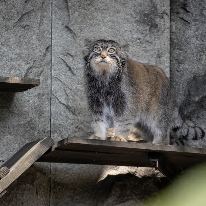 A photograph of Timofey in Moscow zoo