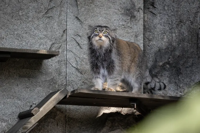 A photograph of Timofey in Moscow zoo
