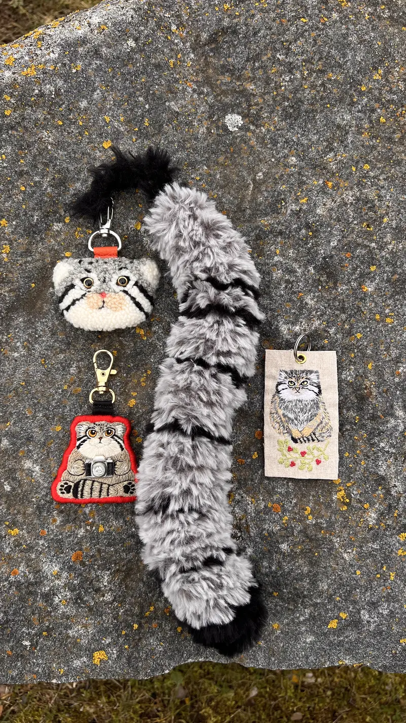 A photograph of a Pallas's cat