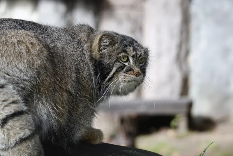 A photograph of Timofey in Moscow zoo