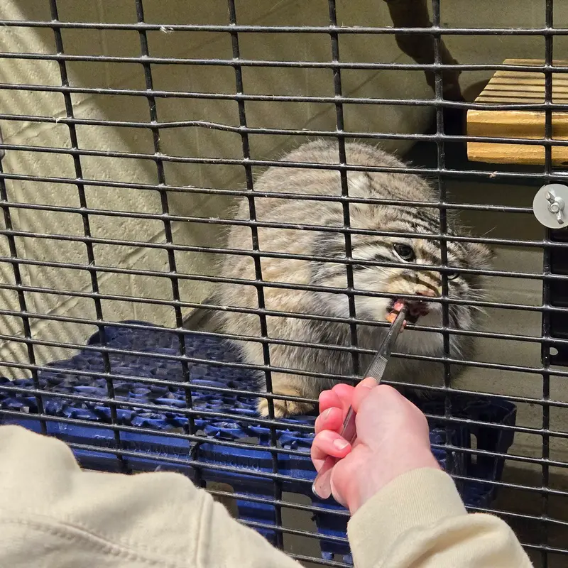 A photograph of Dean in Oglebay Good Zoo