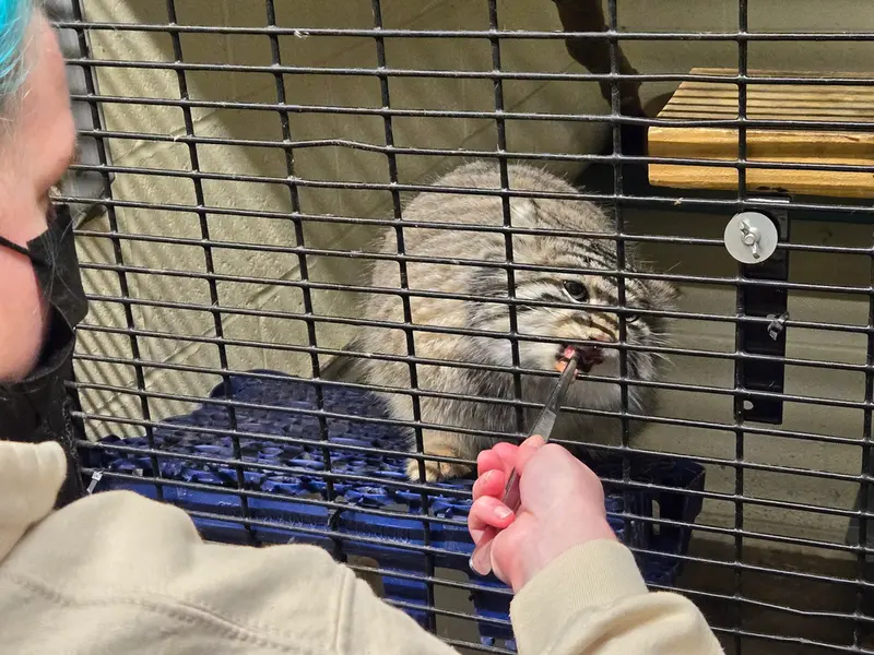 A photograph of Dean in Oglebay Good Zoo