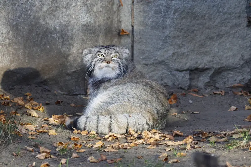 A photograph of Timofey in Moscow zoo