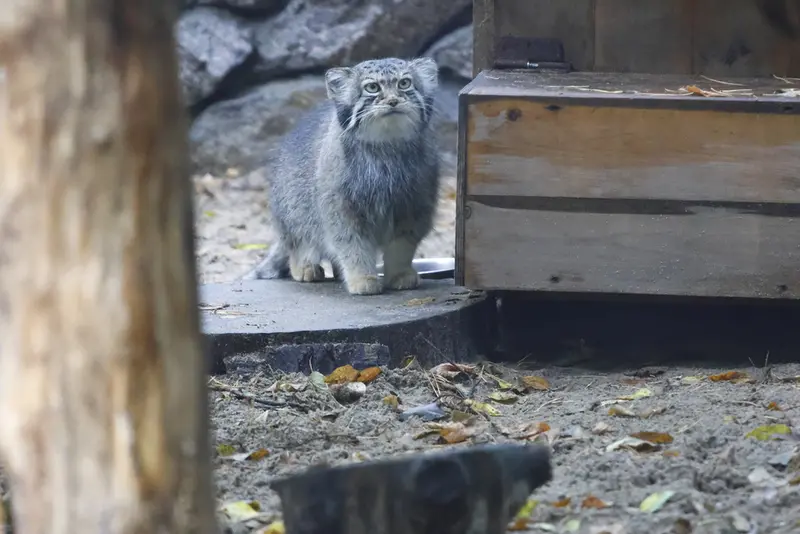 A photograph of Eve in Novosibirsk Zoo