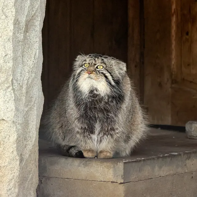 A photograph of Timofey in Moscow zoo