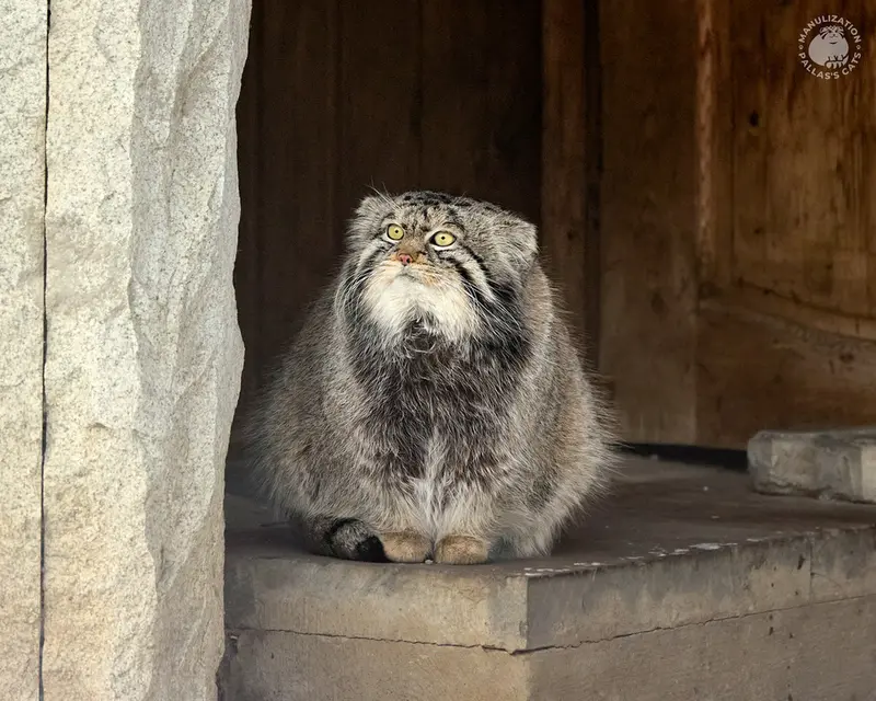 A photograph of Timofey in Moscow zoo