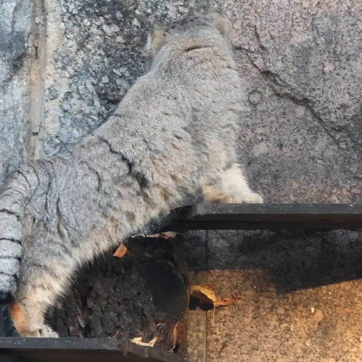 A photograph of Timofey in Moscow zoo