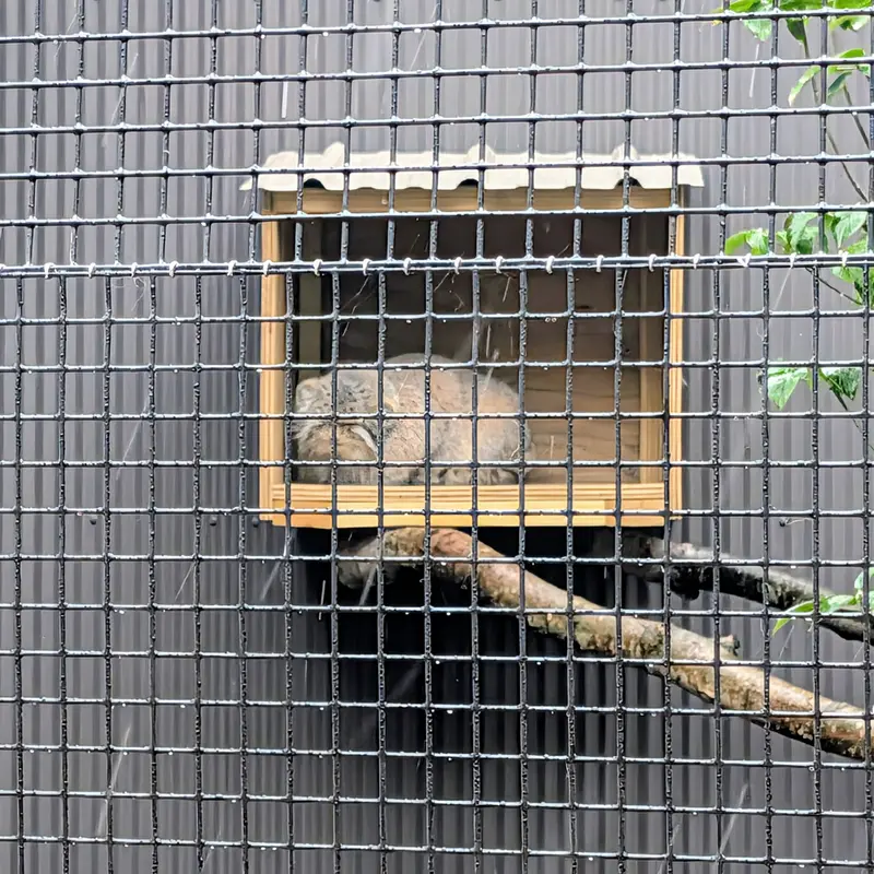 A photograph of Reza in Elmwood Park Zoo