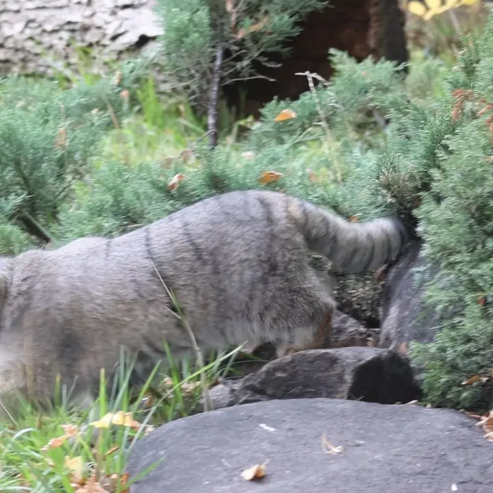 A photograph of Timofey in Moscow zoo