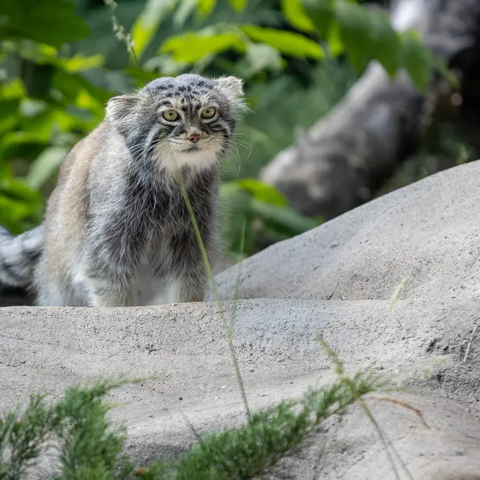 A photograph of Timofey in Moscow zoo