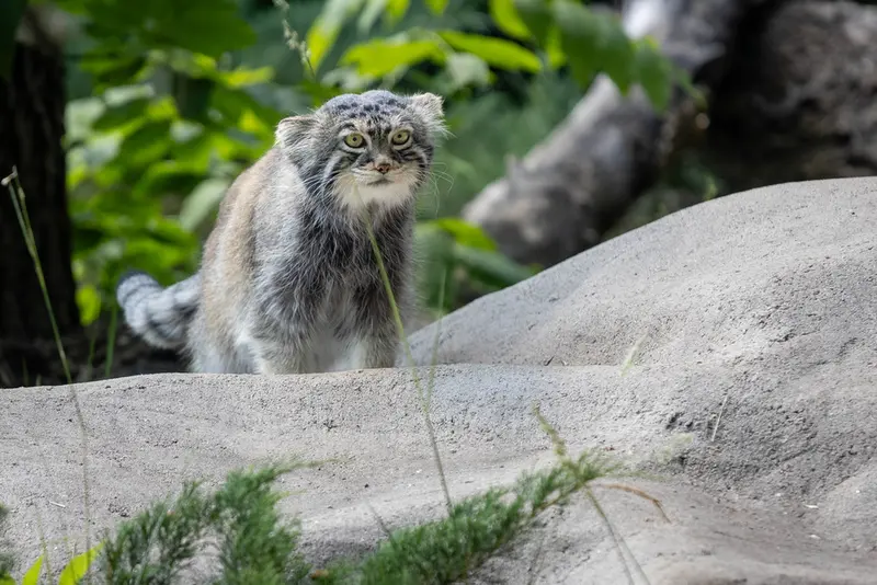 A photograph of Timofey in Moscow zoo