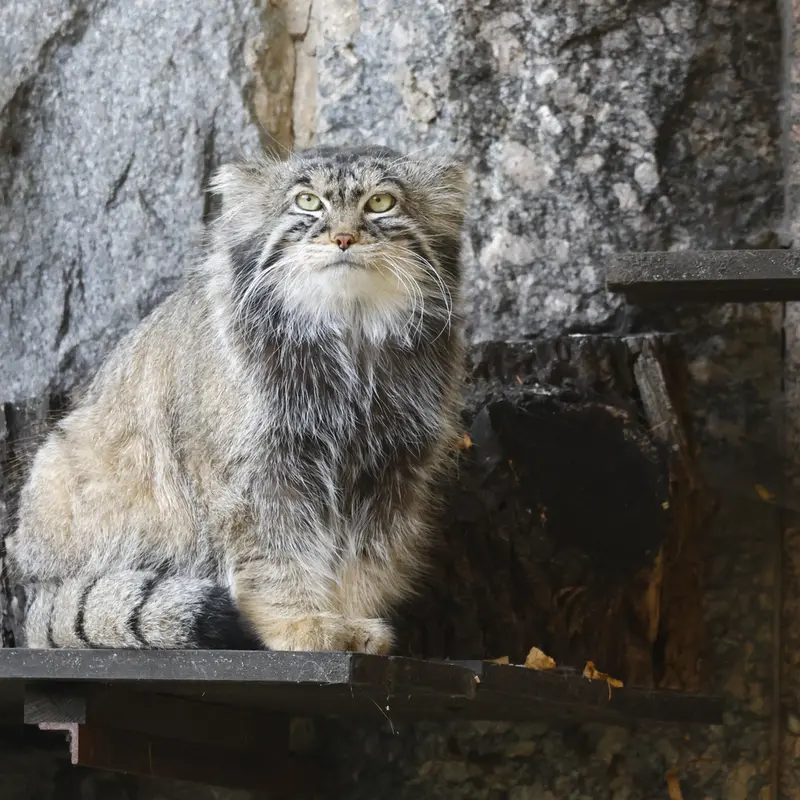 A photograph of Timofey in Moscow zoo
