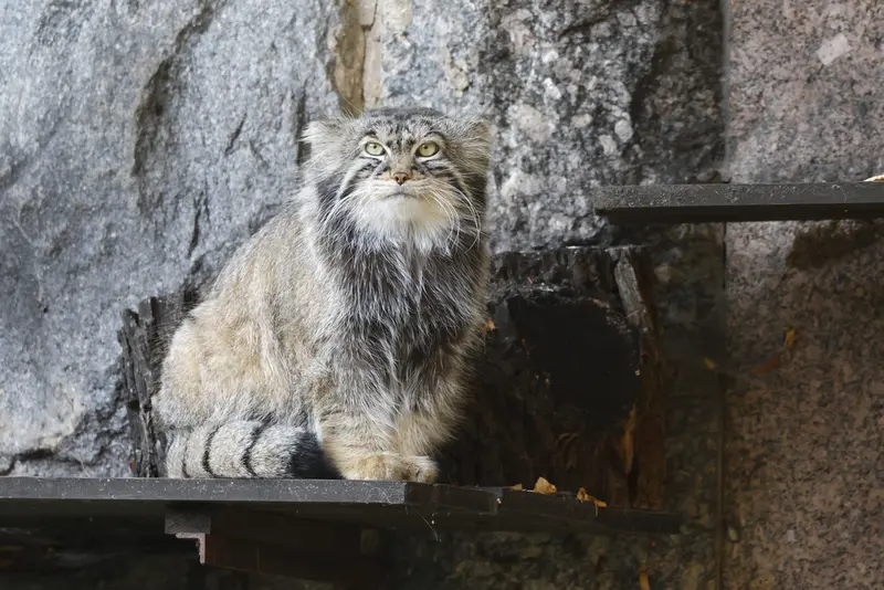 A photograph of Timofey in Moscow zoo