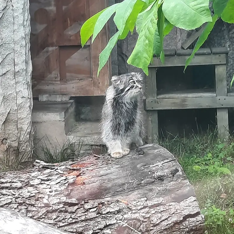 A photograph of Timofey in Moscow zoo