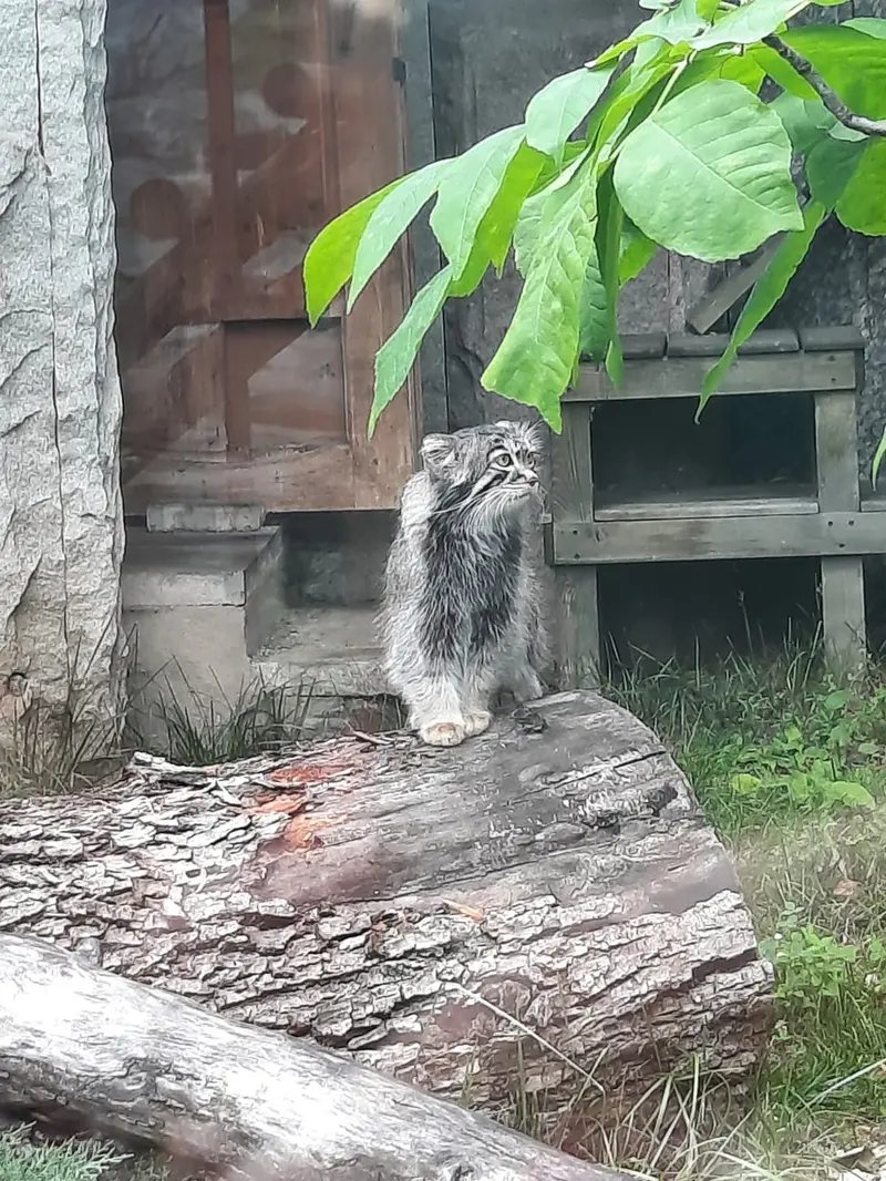A photograph of Timofey in Moscow zoo