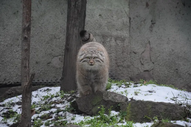 A photograph of Lucy in Budapest Zoo &amp; Botanical Garden