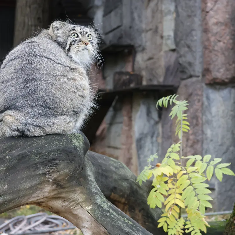 A photograph of Timofey in Moscow zoo