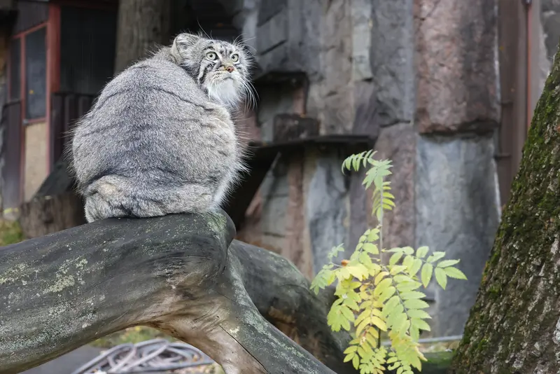 A photograph of Timofey in Moscow zoo