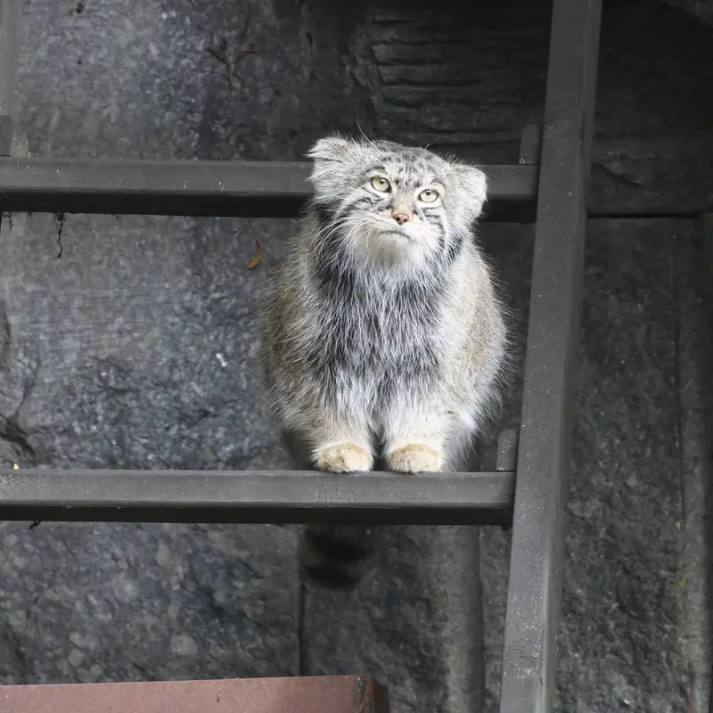 A photograph of Timofey in Moscow zoo