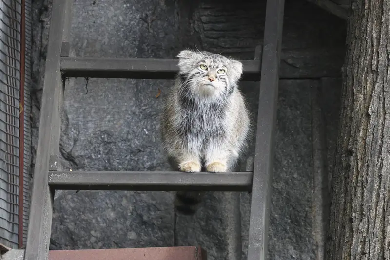 A photograph of Timofey in Moscow zoo