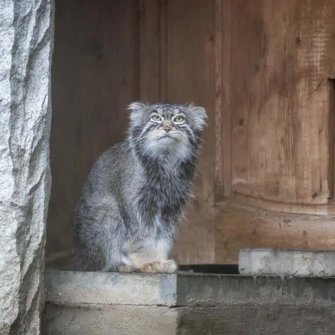 A photograph of Timofey in Moscow zoo