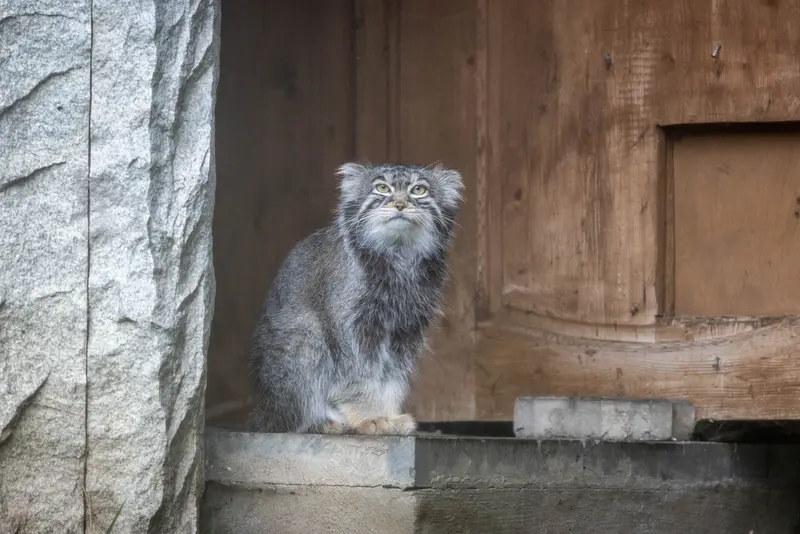 A photograph of Timofey in Moscow zoo
