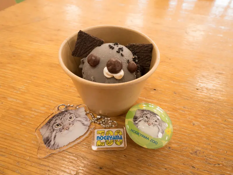 A photograph of Figa in Nogeyama Zoo