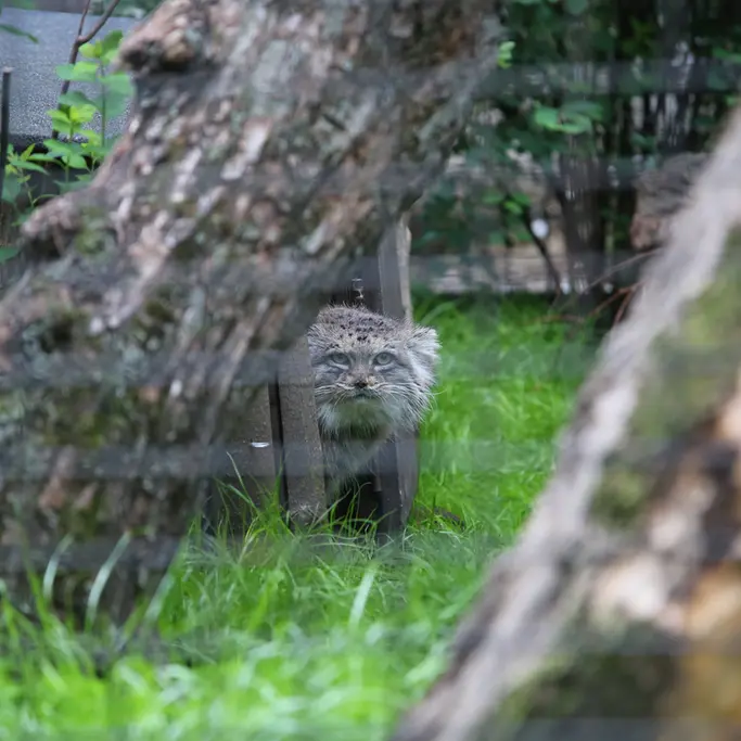 A photograph of Jessie in Warsaw Zoo